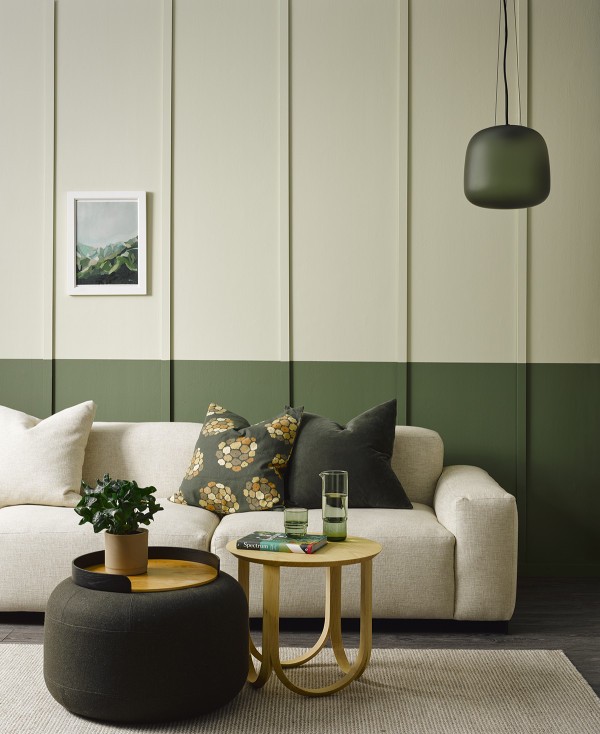 Dual Tone Colour Ideas for Living Rooms: A Practical Guide for Indian Homes